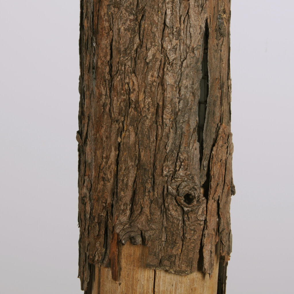 remplissage luminaire remplissage tronc