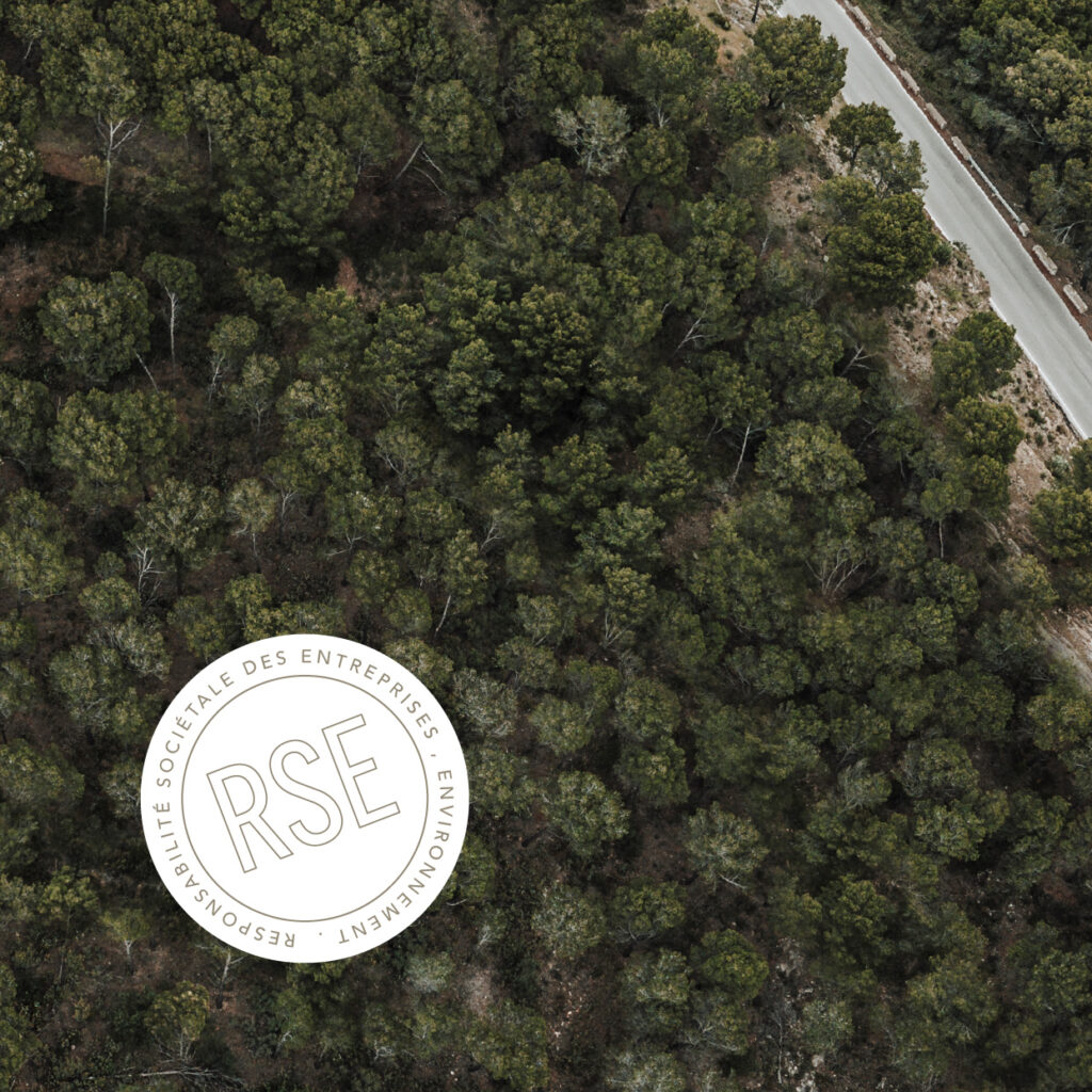 06 A remplissage sapin RSE fr